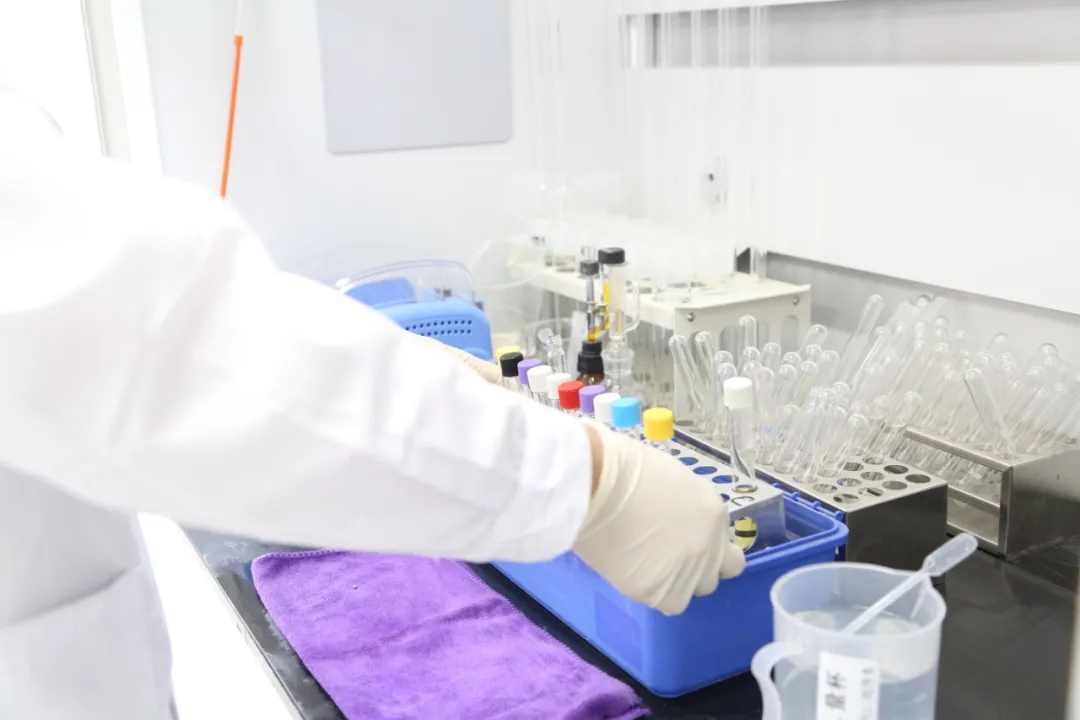 1626852535441700.jpg 2.webp.jpg