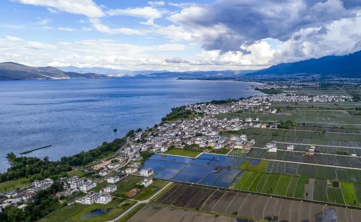 1664340666289056.jpg 1.jpg