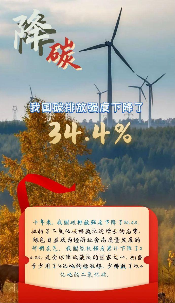 1666055558810406.jpg 4.jpg